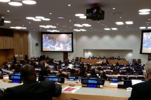 El CDNU participó en la Asamblea General de la ONU, en el informe del Relator Contra la Tortura