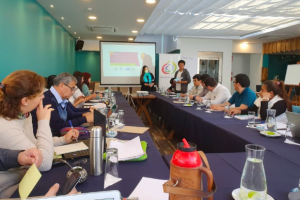Seminario taller internacional: las organizaciones de la sociedad de niñez, adolescencia y juventud en América del Sur y el ambiente propicio para su trabajo